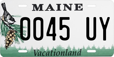ME license plate 0045UY