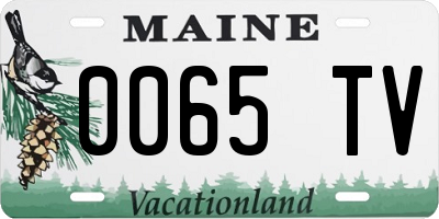 ME license plate 0065TV