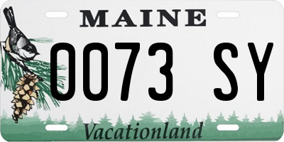ME license plate 0073SY
