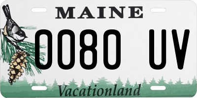 ME license plate 0080UV