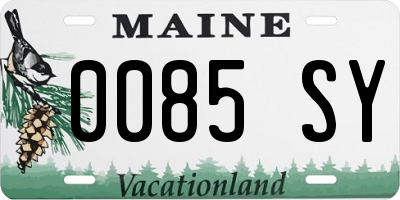 ME license plate 0085SY