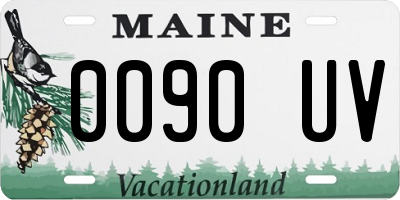 ME license plate 0090UV