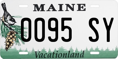 ME license plate 0095SY