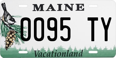 ME license plate 0095TY