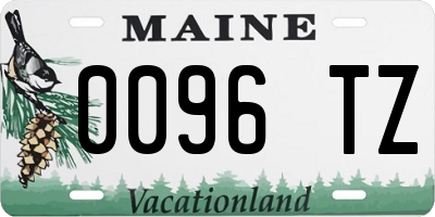ME license plate 0096TZ