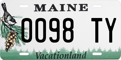 ME license plate 0098TY