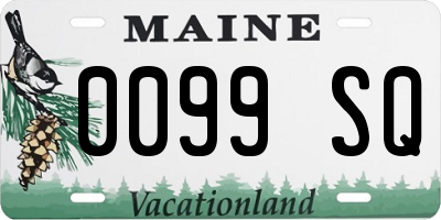ME license plate 0099SQ