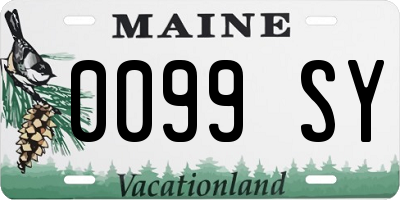 ME license plate 0099SY