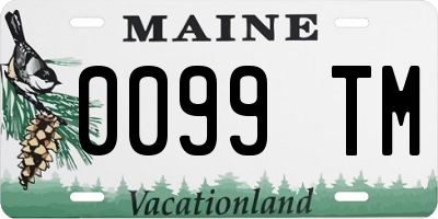 ME license plate 0099TM