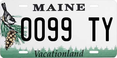 ME license plate 0099TY