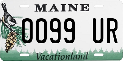 ME license plate 0099UR