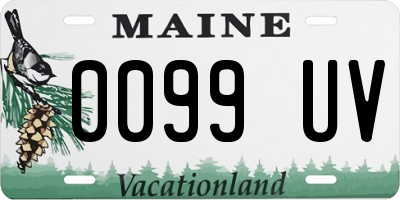 ME license plate 0099UV