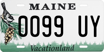 ME license plate 0099UY