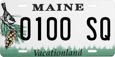 ME license plate 0100SQ