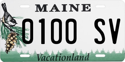 ME license plate 0100SV