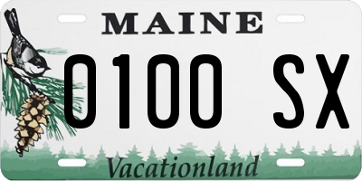 ME license plate 0100SX