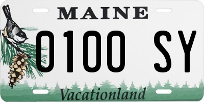 ME license plate 0100SY