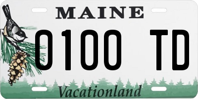 ME license plate 0100TD