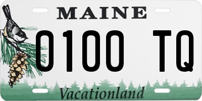 ME license plate 0100TQ