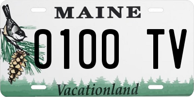 ME license plate 0100TV
