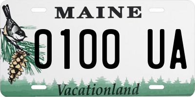 ME license plate 0100UA