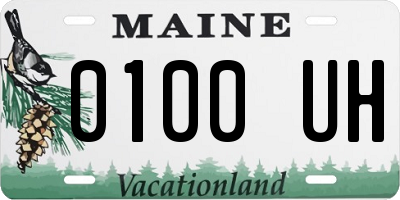 ME license plate 0100UH