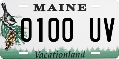 ME license plate 0100UV