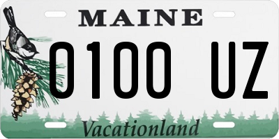 ME license plate 0100UZ