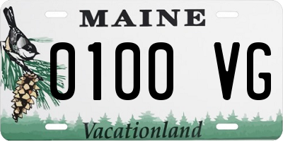 ME license plate 0100VG