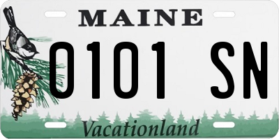 ME license plate 0101SN