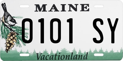 ME license plate 0101SY