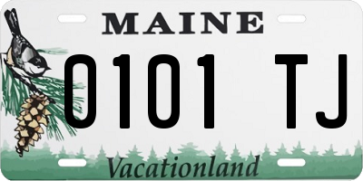 ME license plate 0101TJ