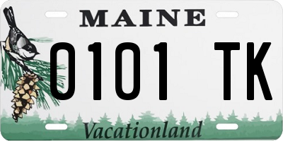 ME license plate 0101TK