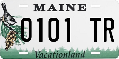 ME license plate 0101TR