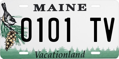 ME license plate 0101TV