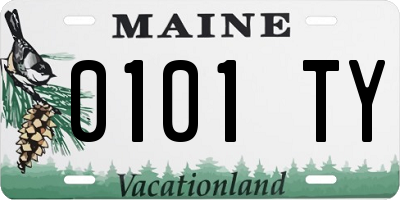 ME license plate 0101TY