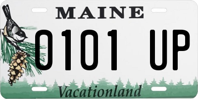ME license plate 0101UP