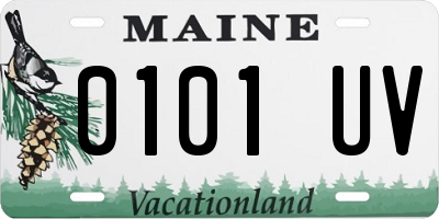 ME license plate 0101UV