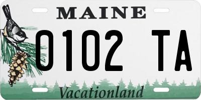 ME license plate 0102TA