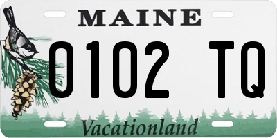 ME license plate 0102TQ