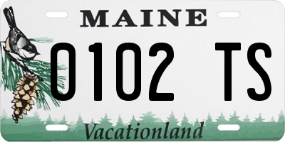 ME license plate 0102TS