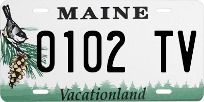 ME license plate 0102TV