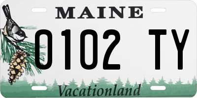 ME license plate 0102TY
