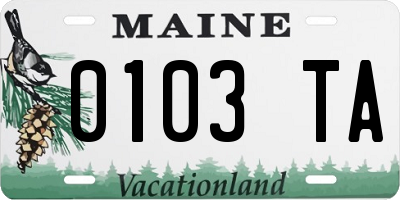 ME license plate 0103TA
