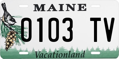 ME license plate 0103TV