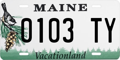 ME license plate 0103TY