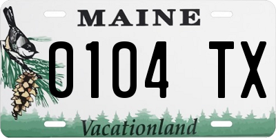 ME license plate 0104TX