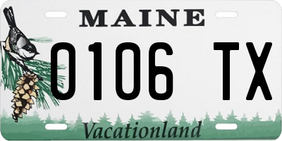 ME license plate 0106TX