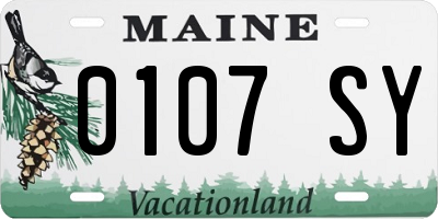 ME license plate 0107SY