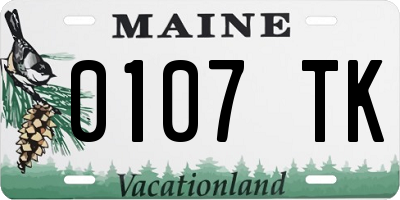 ME license plate 0107TK